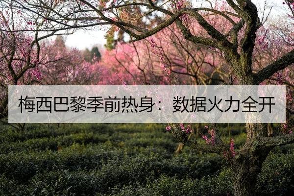 梅西巴黎季前热身：数据火力全开